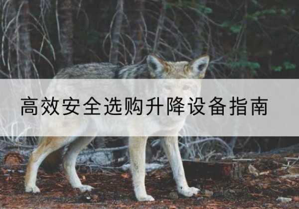 白朗升降货梯厂家推荐-*安全选购升降设备指南
