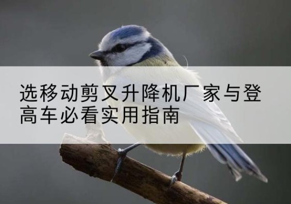 白朗电动升降机厂家-选移动剪叉升降机厂家与登高车必看实用指南
