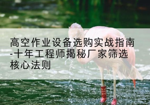 白朗剪叉式升降机厂家-高空作业设备选购实战指南-十年工程师揭秘厂家筛选核心法则